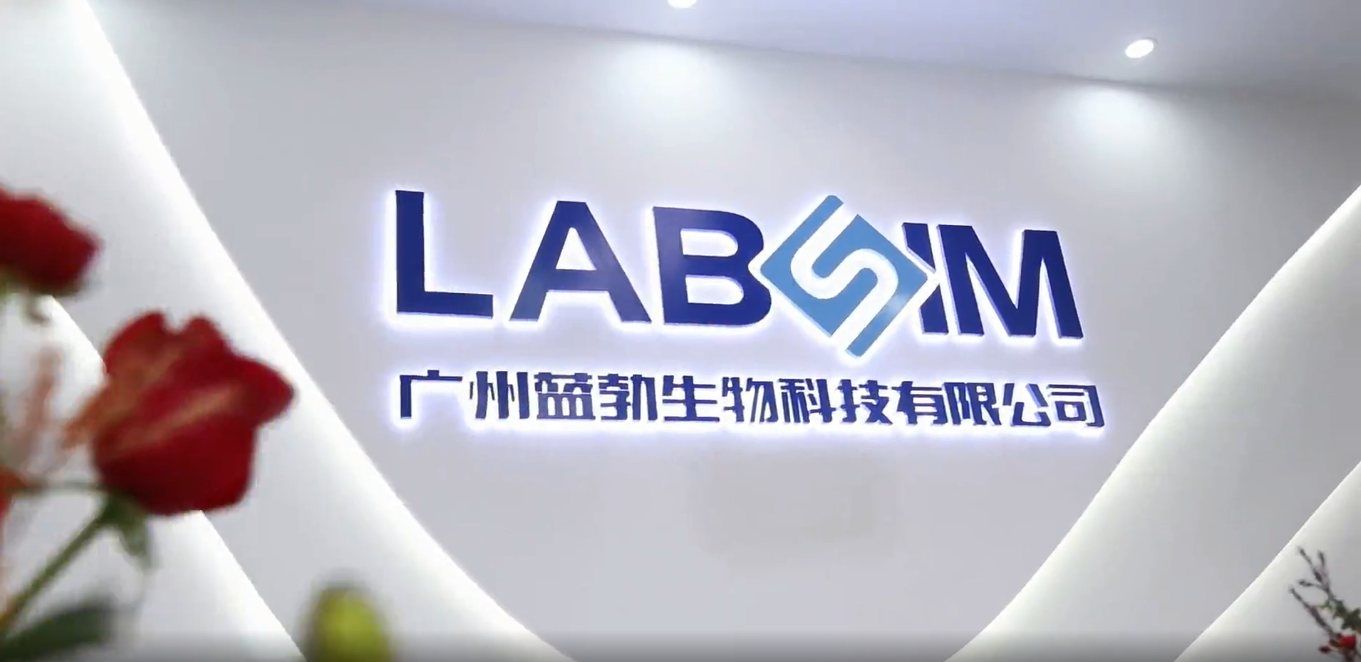 ������Ǯlzyq88(�й�)���޹�˾