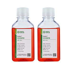 MEM������,����������