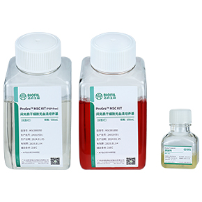 ����ʸ�ϸ����Ѫ�������Լ���,��Ѫ��������,MSC��Ѫ������