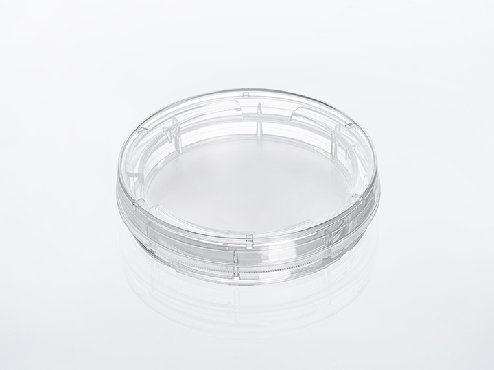 ��ҳ720��540 ����1.jpg