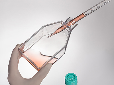 б������������������������㵹�������������������� Һ�ܺ�ϸ���ε�����֧