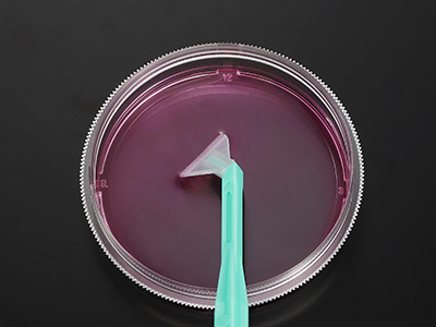 ��������ת��Ƭ���������������ܹ�ȡ�����������������������ջ�ϸ��