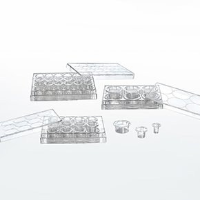 ϸ��Ƕ����,ϸ��С��,transwell,ϸ��Ǩ��