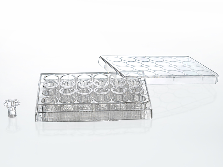 ��ҳ720��540 ����1.jpg