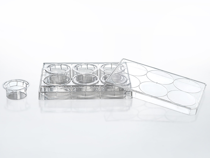 ��ҳ720��540 ����2.jpg