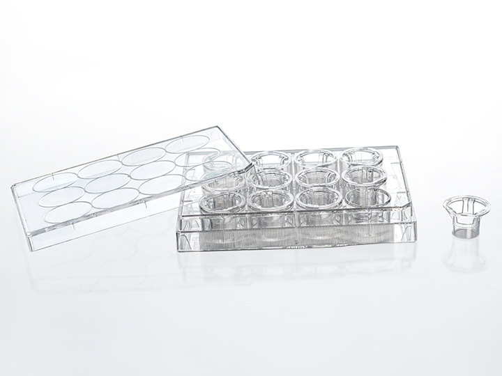 ��ҳ720��540 ����3.jpg