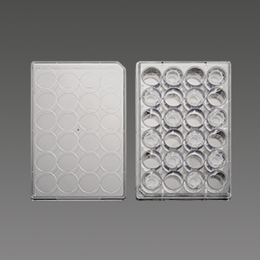 PCĤ����ʽ������,ϸ��С��,transwell