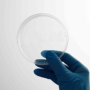 CellDETACH?����ϸ��������,�¶ȸ�Ӧϸ��������ò