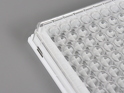 ��������ĸ���ֱ�ţ�������������������ʶ�����������������¼