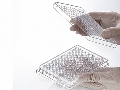 ����ĵ������ƣ�������������ʶ����������ȷ������һ����