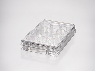 ���ƽ�����׾���ϸһ�£��������������ȳơ�͸������������������΢���Ӳ�