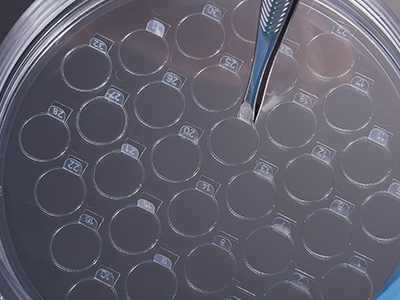 ϸ����Ƭ����һ���Ƕ����𣬣������������������ֱ�Ӽ�ȡ