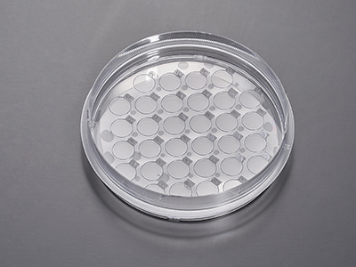 ����ϸ���������Ʊ����ֲ��ʵ��ͼ��Ŀ�ĵ�ϸ����Ƭ�������������������Ч��