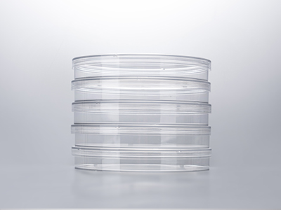 ������������͹���������������ܵ����ȹ�����������������