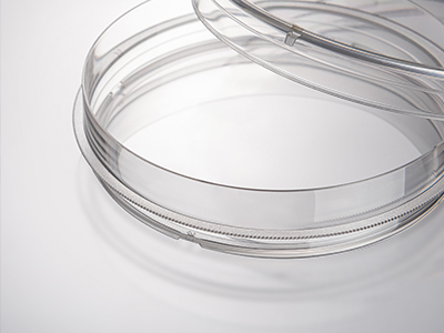 ����ʽ���ճݻ�����������ȷ���徲��ȡ���������������������