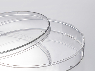 ����������͸������������������޾���ͬʱ�������彻������������������