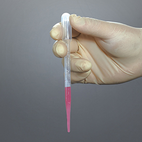 һ���԰�˹������,��������,��˹������,�ι�,��������