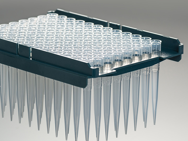 ��ҳ720��540 ����2.jpg