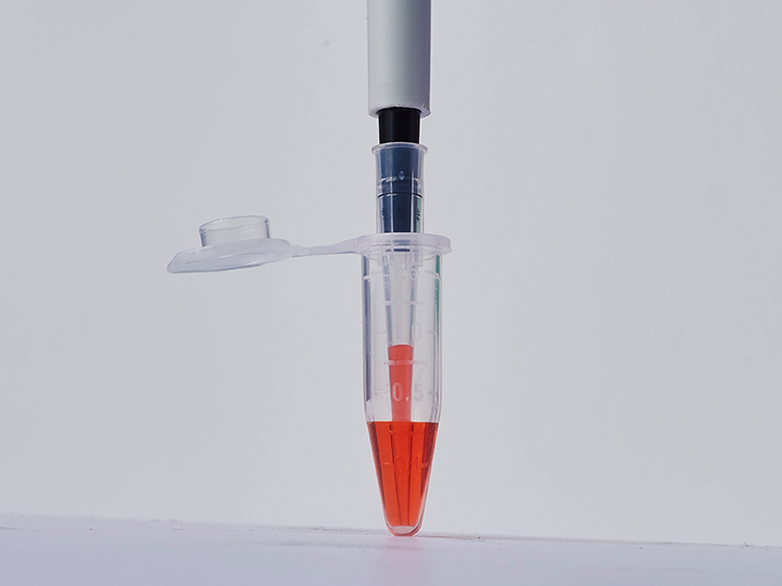 ��ҳ720��540 ����1.jpg