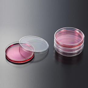 һ����ϸ��������,ϸ��������,ƽ��