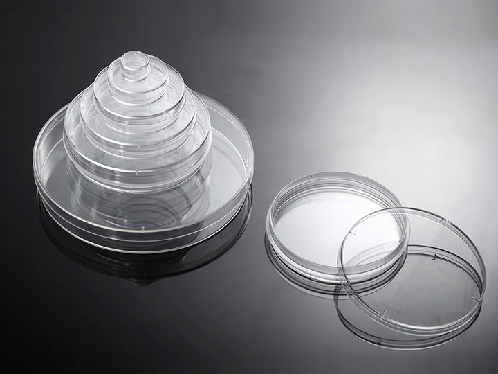 ��ҳ720��540 ����.jpg