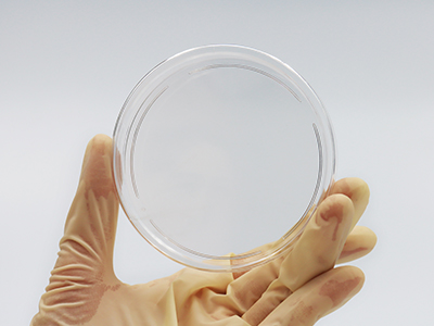 ͸���ȸ����������������������Ӳ�