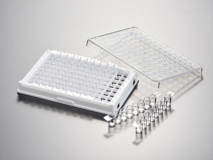 ��ҳ720��540 ����.jpg