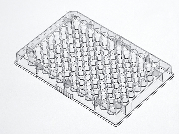 ��ҳ720��540 ����3.jpg