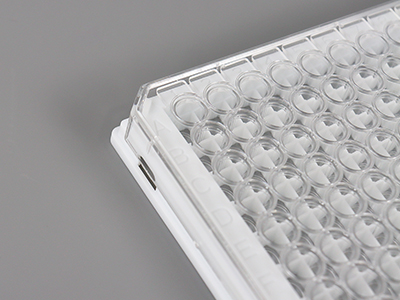 ��������ĸ���ֱ�ţ������������������ڲ�������������