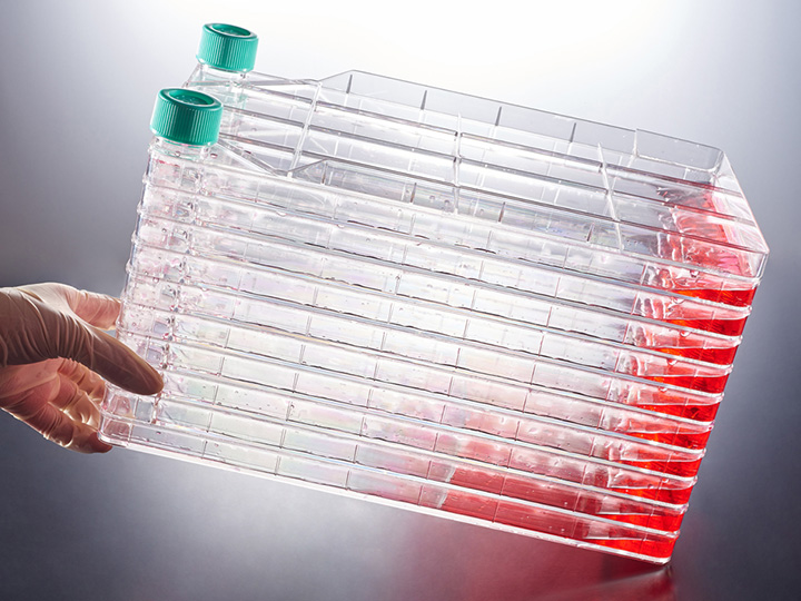 ��ҳ720��540 ����1.jpg