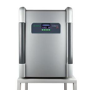 ������,������̼������