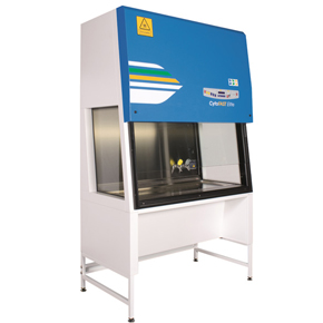 FASTER�����徲��,�����徲��