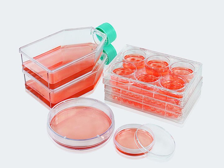 ��ҳ 1 ����.jpg