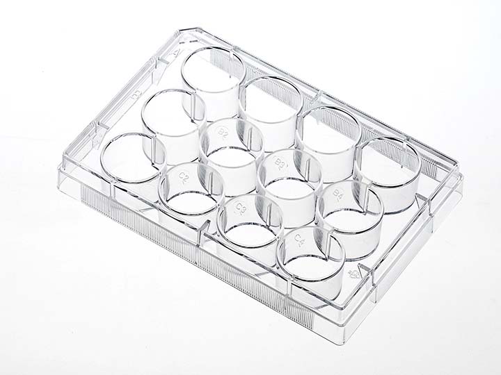 ��ҳ720��540 ����2.jpg