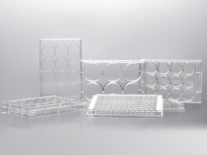 ��ҳ720��540 ����.jpg