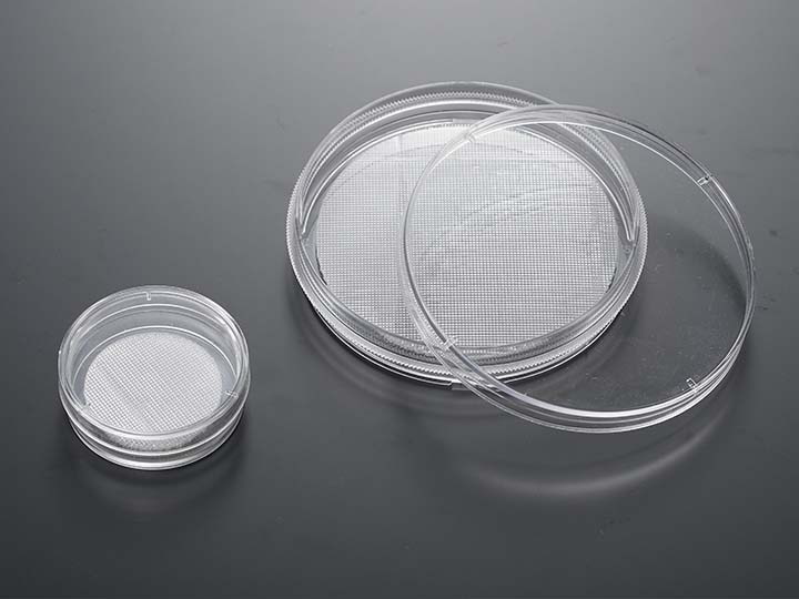 ��ҳ720��540 ����.jpg