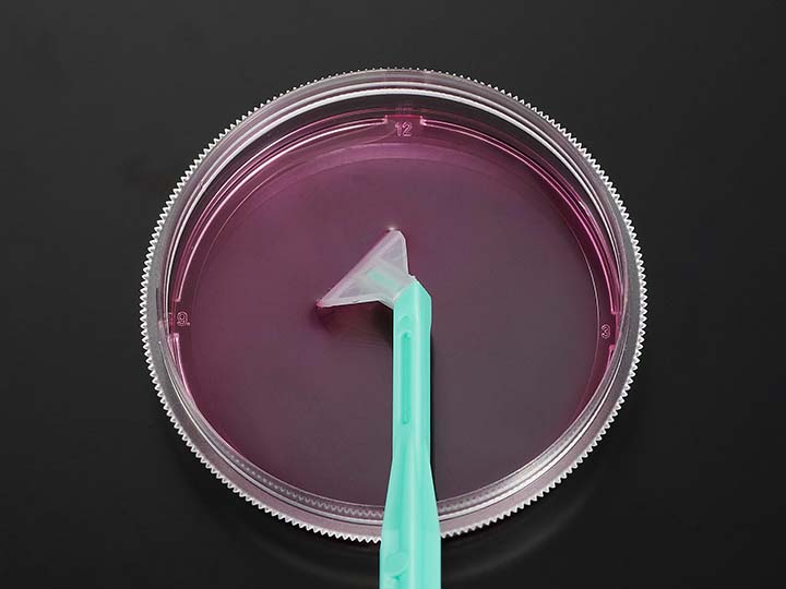 ��ҳ720��540 ����.jpg