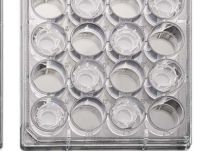 �������������ֿױ�ʶ������������������������ʶ�����������������������¼