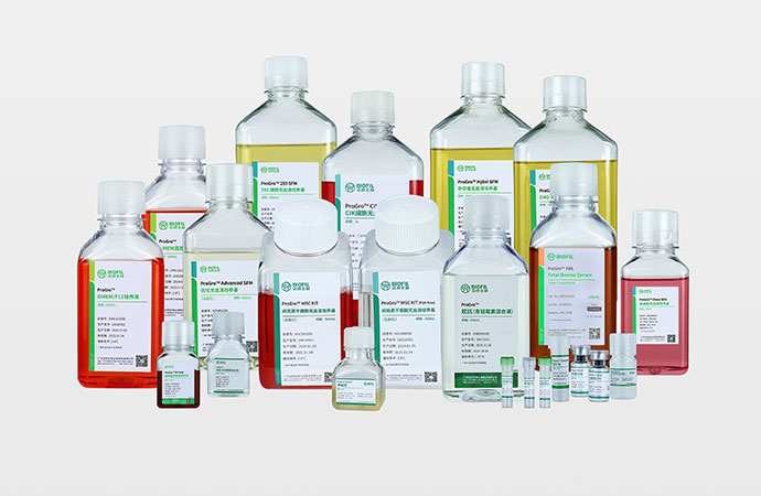 �Լ��ۺ�Ч��