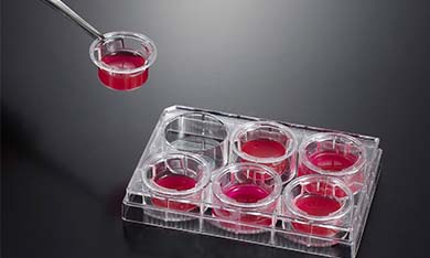 ϸ��Ƕ���󳣼�����