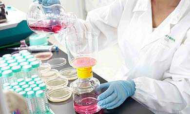 ���ںĲĵ����桢�Ƿ���DNAø������������������RNAø������ԭ������������