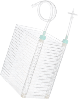 ���﹤�պĲ�