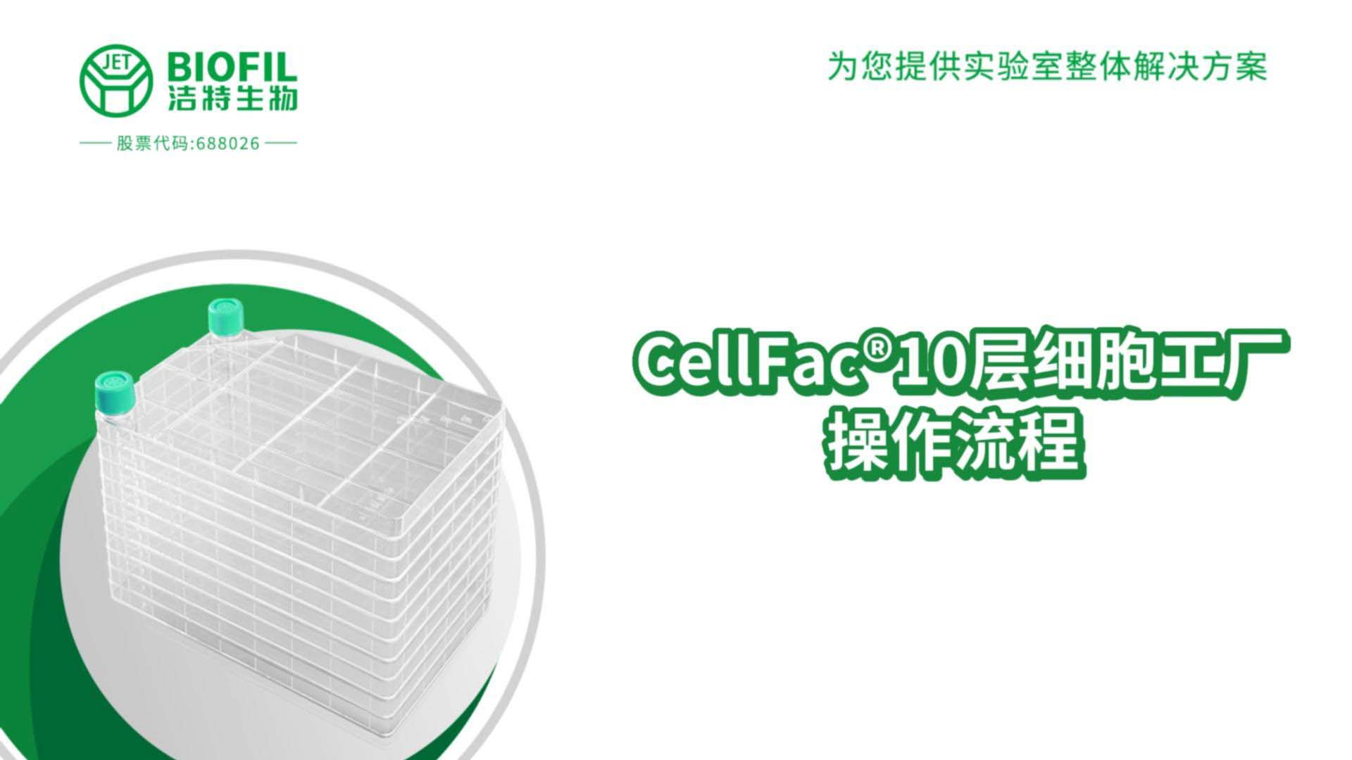 10��ϸ������������Ƶ