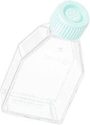 ����ʵ���ҺĲ�