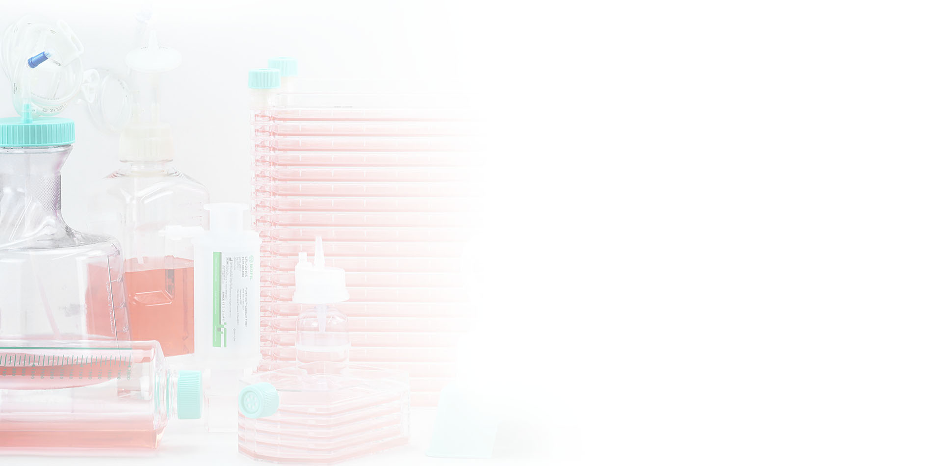 ����Ч��