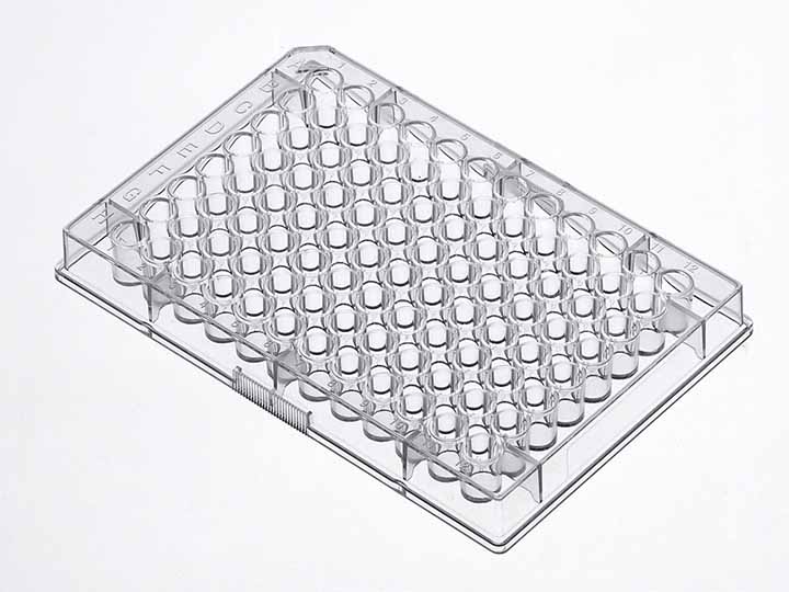 ������Ǯlzyq88(�й�)���޹�˾