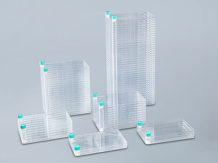 ������Ǯlzyq88(�й�)���޹�˾