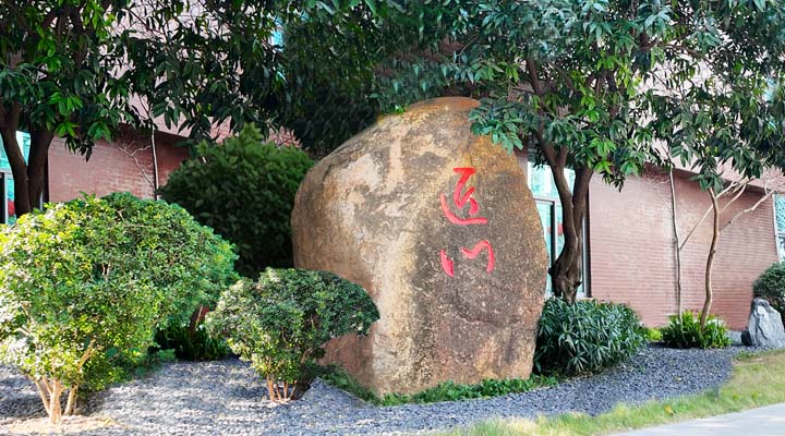 �����ֵ��