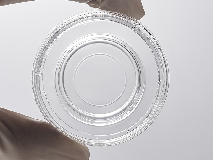 ������Ǯlzyq88(�й�)���޹�˾