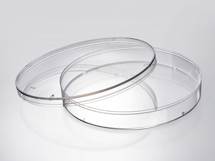 ������Ǯlzyq88(�й�)���޹�˾